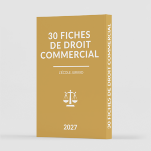 Fiches de droit commercial/droit des affaires (2027)