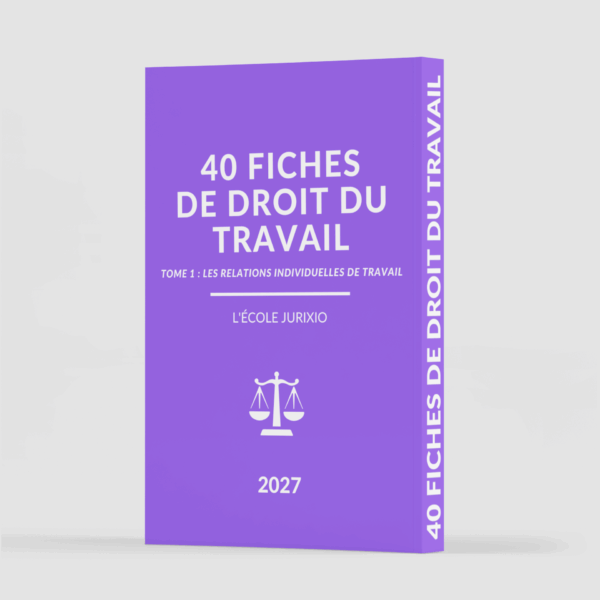 Fiches de droit du travail - Les relations individuelles de travail (2027) - Jurixio