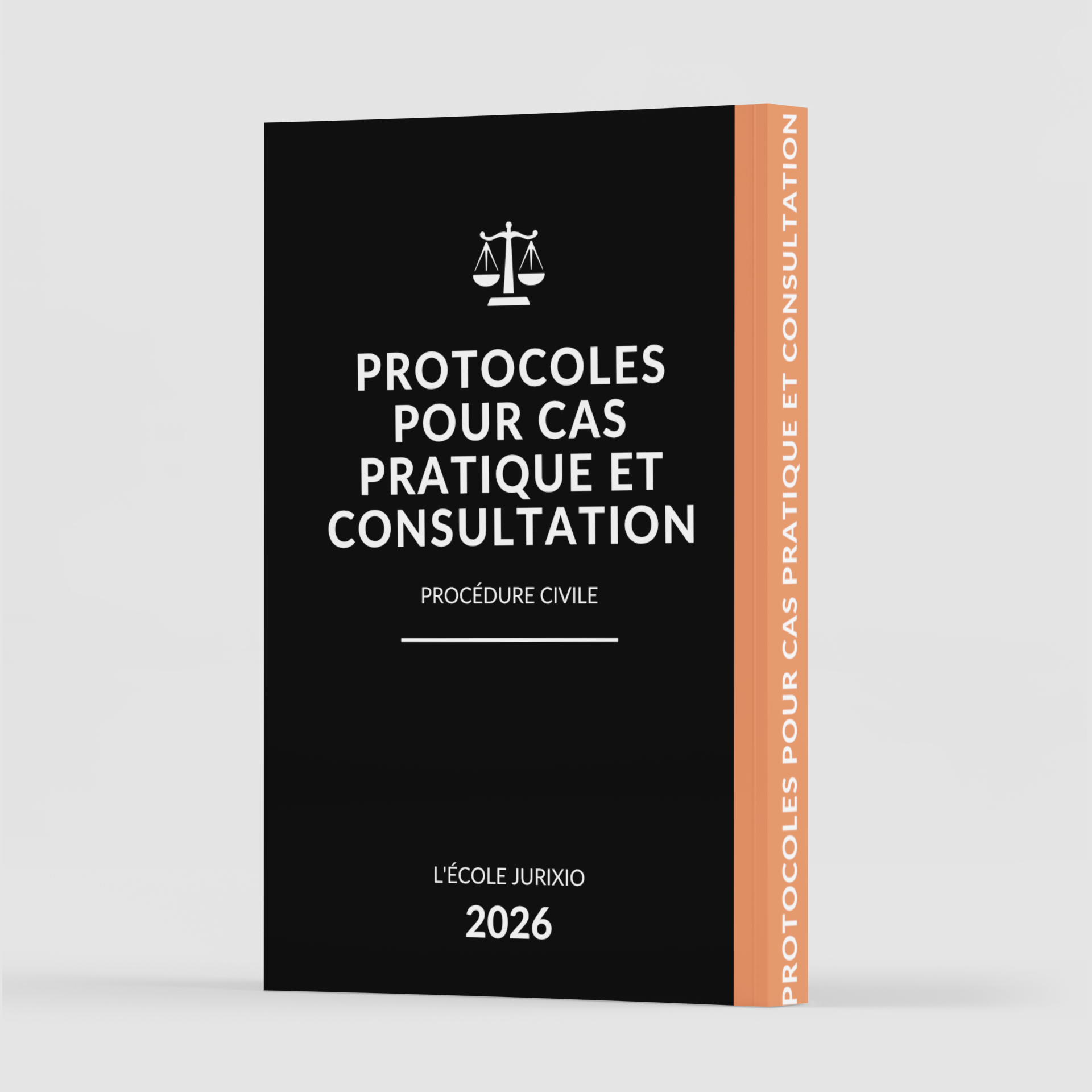 Protocoles de cas pratique et consultation – Procédure civile